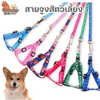 ภาพหน้าปกสินค้า【T】BABY PET 🐶😺 สายจูงสัตว์เลี้ยง✨ สายจูงหมา สายจูงแมว  แถมสายรัดอก แข็งแรง ราคาประหยัด 🌟 ซึ่งคุณอาจชอบสินค้านี้