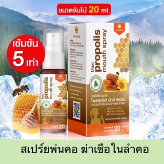 ภาพหน้าปกสินค้า🔥สูตรใหม่ เข้มข้น 5 เท่า🔥สเปร์ยพ่นคอ Propoliz Mouth Spray ขนาดจัมโบ้ 20ml เกรดพรีเมี่ยม เกรดดีที่สุดในโลก พร้อมส่ง ที่เกี่ยวข้อง