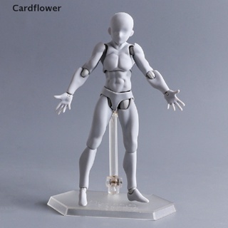 &lt;Cardflower&gt; 13cm Artist Art Paing Anime Figure Toy Model Sketch Draw Movable Body Joint On Sale