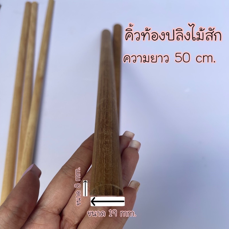 ไม้สัก-คิ้วท้องปลิงไม้สัก