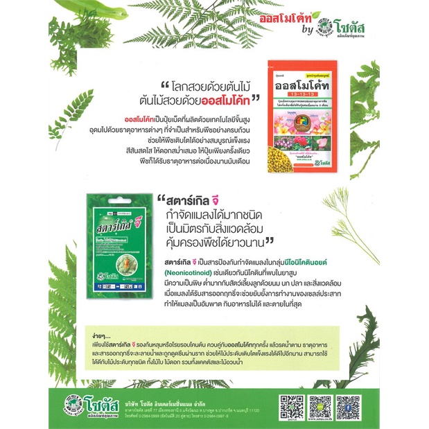 หนังสือเฟิน-all-about-ferns-รวมชนิดและพันธุ์ฯ-cafebooksshop