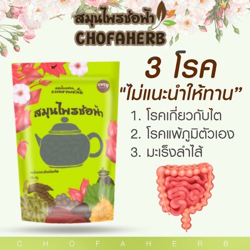 ชาช่อฟ้า-สมุนไพรช่อฟ้า-ช่อฟ้า-chofaherb