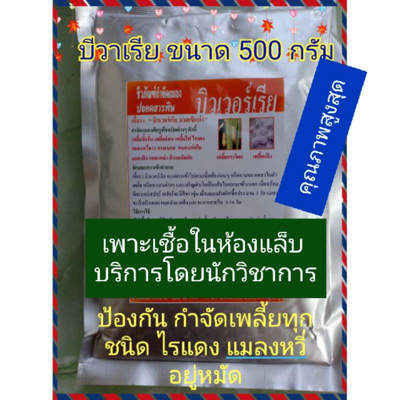 กำจัดเพลี้ย-แมลง-ไร-และแมลงปากดูดทุกชนิด-ด้วยบีวาเรีย-จุลินทรีย์ราขาว-ขนาด-500-กรัม