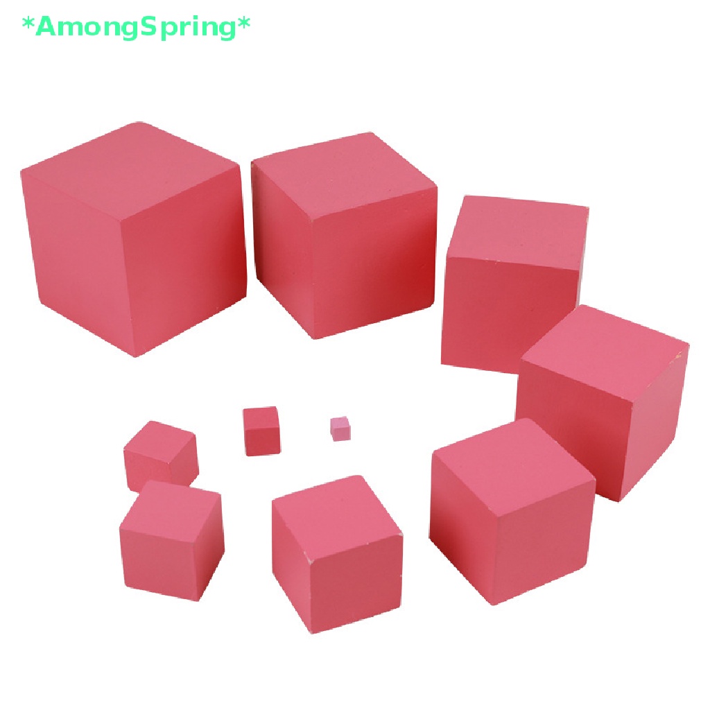 amongspring-gt-montessori-materials-pink-tower-early-childhood-education-preschool-kids-toys-new