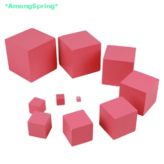 AmongSpring> Montessori Materials Pink Tower Early Childhood Education Preschool Kids Toys new