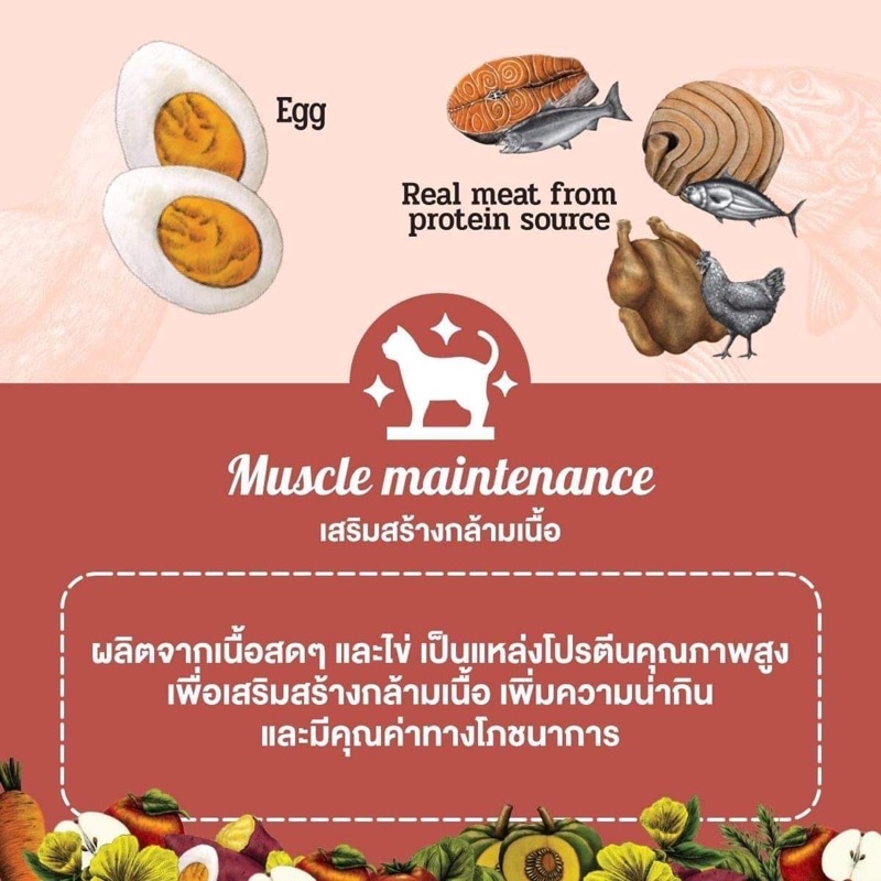 pramy-grain-free-อาหารแมว-ซุปเปอร์พรีเมี่ยม-เกรนฟรี-superfood-ขนาด-1-2-kg