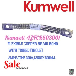 KUMWELL LZFCB 503001 Flexible Copper Braid Bond with Tinned (1 Hole) Amp Rating = 200 A, Length 300 สายทองแดงถักชุบดีบุก