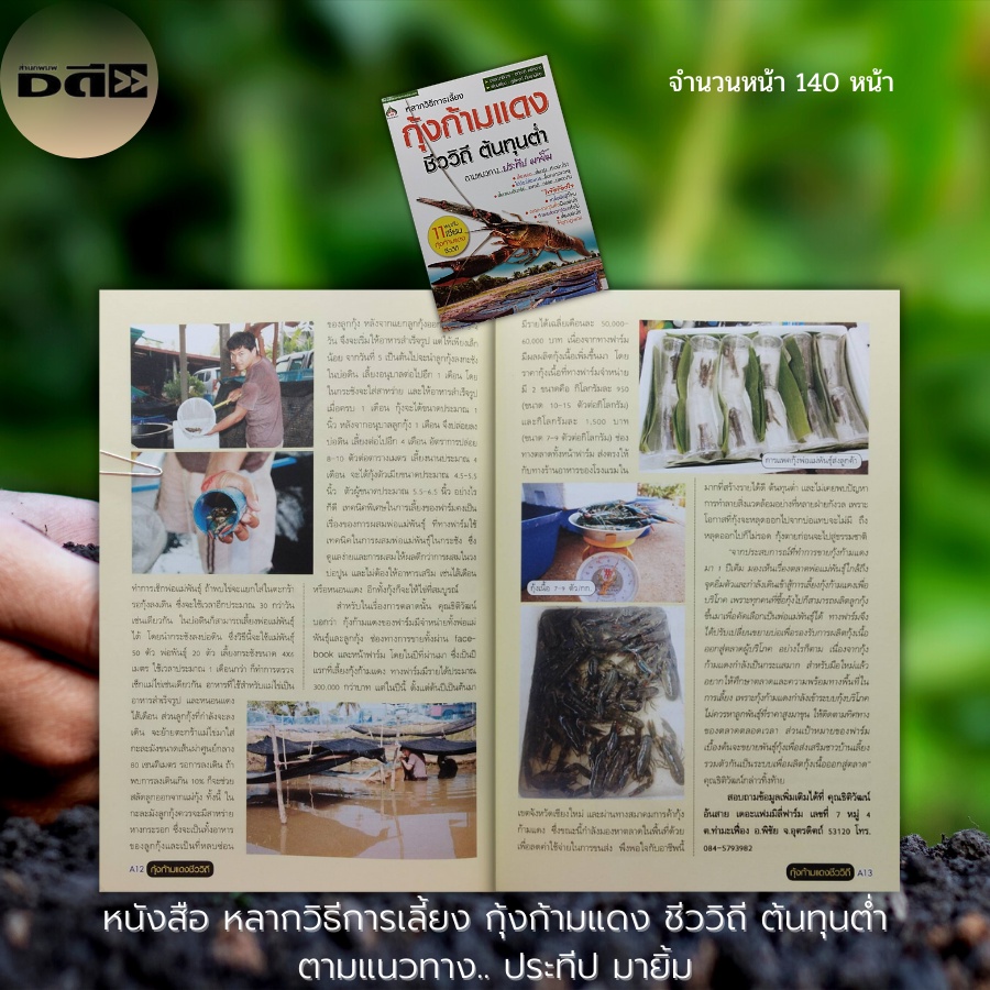 หนังสือ-กุ้งก้ามแดง-ชีววิถีต้นทุ่นต่ำ-เกษตร-การเลี้ยงกุ้ง-พันธุ์กุ้ง-การเลี้ยงสัตว์น้ำ-แหล่งขายลูกกุ้ง-อาหารกุ้ง