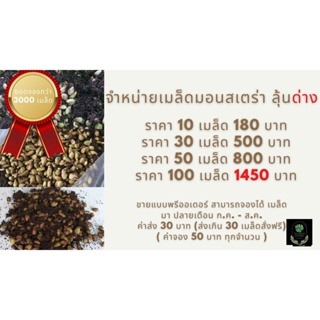 ผลิตภัณฑ์ใหม่ เมล็ดพันธุ์ เมล็ดพันธุ์คุณภาพสูงในสต็อกในประเทศไทย พร้อมส่ง ะให้ความสนใจของคุณSale !!! เมล็ดมอนสเ /ต้นอ่อน