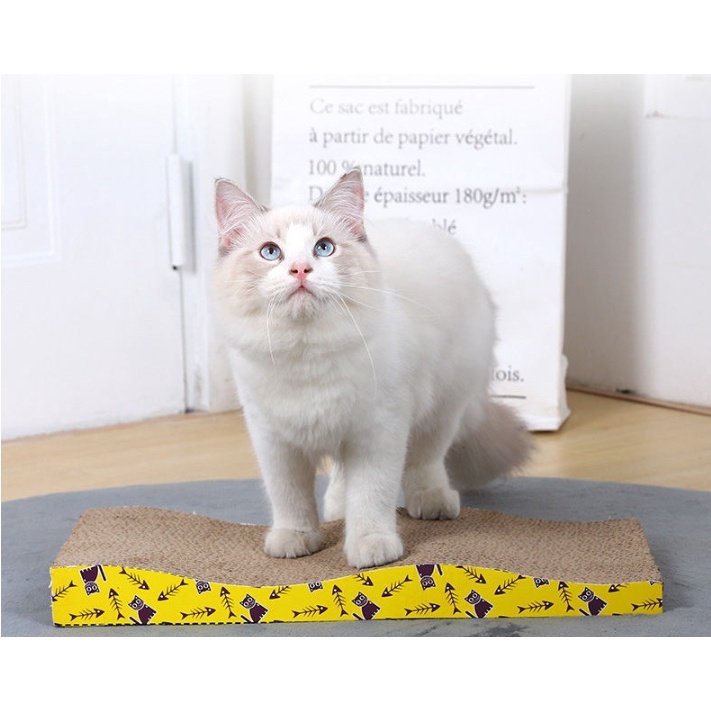 ภาพหน้าปกสินค้าMJ_SHOP โซฟาลับเล็บแมว ขนาดเล็ก แบบใหม่คละสี จากร้าน mj_shop_ บน Shopee