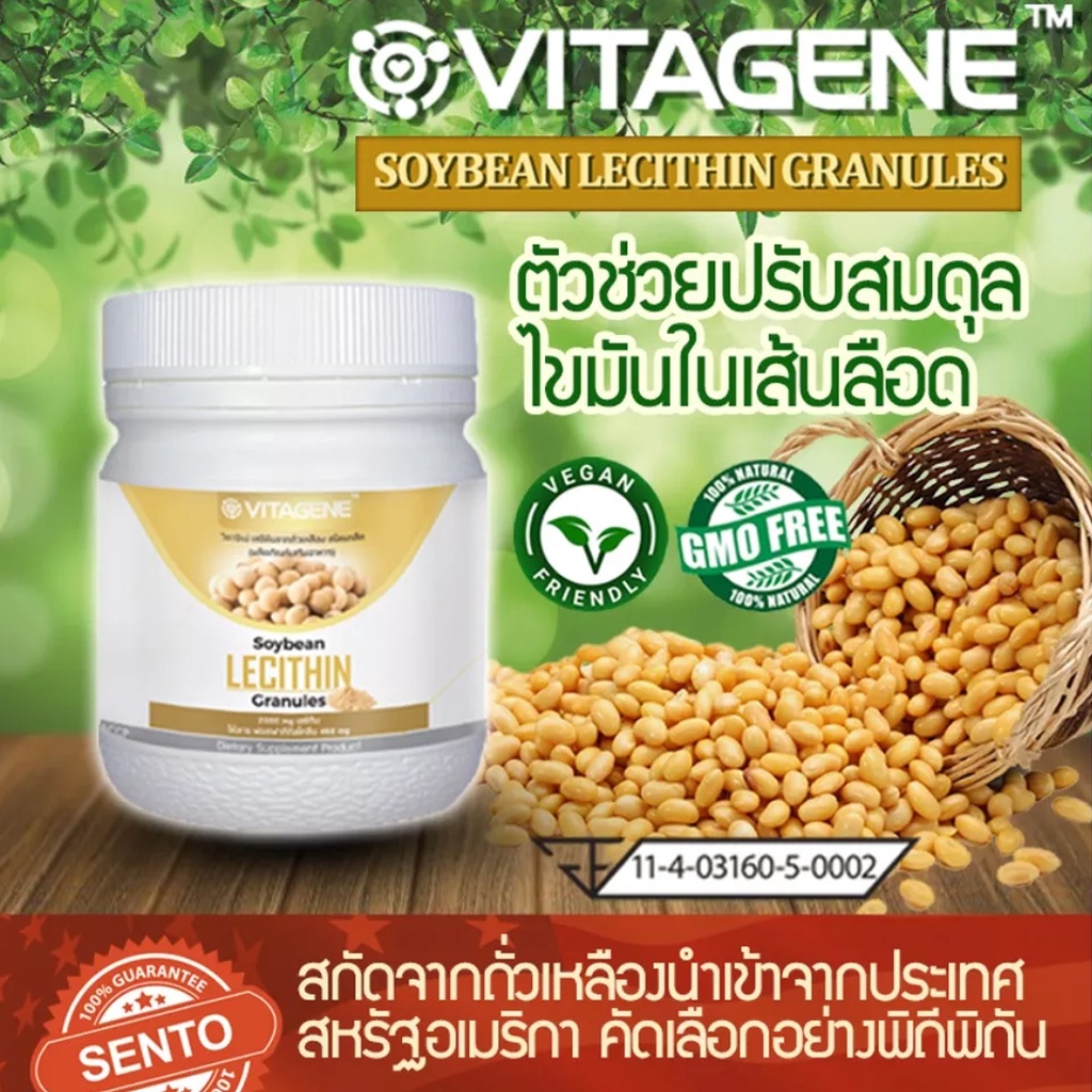 vitagene-เลซิติน-ผลิตภัณฑ์เสริมอาหารจากถั่วเหลืองชนิดเกล็ด-ขนาด-150-กรัม