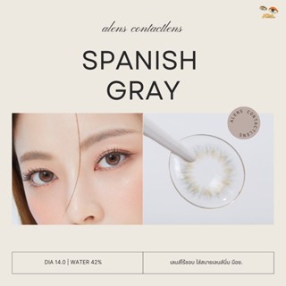 Spanish gray | เลนส์ไร้ขอบ รายเดือน