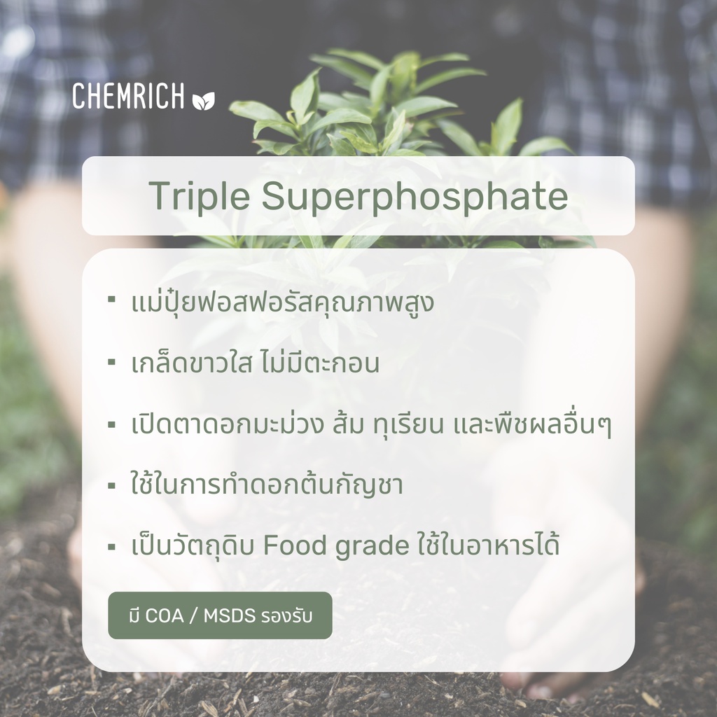 100g-1kg-ปุ๋ยเกล็ด-0-46-0-แม่ปุ๋ยฟอสฟอรัส-โมโนแคลเซียม-ฟอสเฟต-triple-superphosphate-monocalcium-phosphate-food-grade