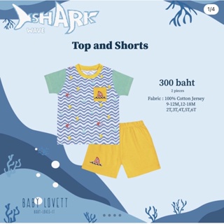 Babylovett Sharkwave - Top and Shorth 🦈 NEW‼️