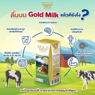 ภาพหน้าปกสินค้า💥ยกลัง 40 กล่อง 💥 Gold Milk น้ำนมโคแท้ 100%  ผู้แพ้นมวัวดื่มได้ Guernsey UHT ที่เกี่ยวข้อง