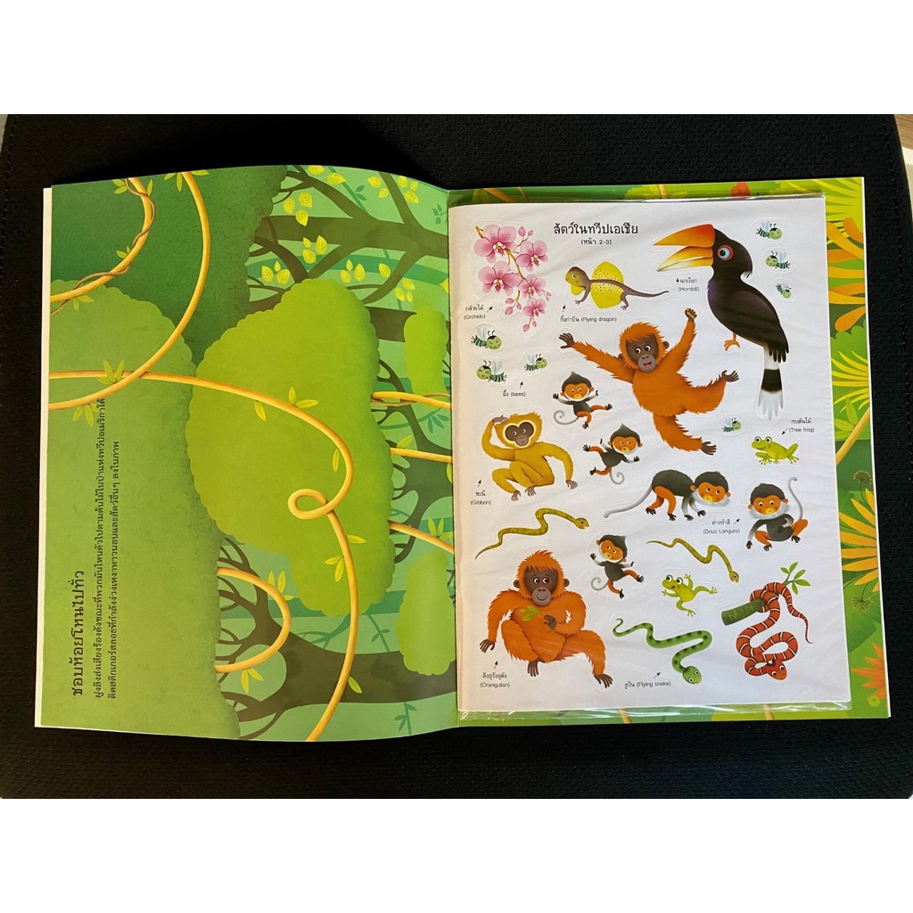 aksara-for-kids-หนังสือเด็ก-สนุกกับการติด-สติกเกอร์-ไปเที่ยวป่า