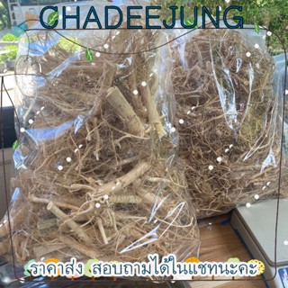 รากกันชาอบแห้ง ขนาด 1000 กรัม ป้องกันแผลในกระเพราะอาหาร [ChaDeeJung]