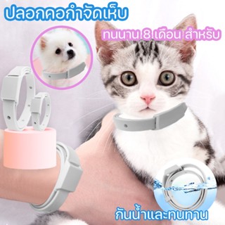 พร้อมส่ง😺🐶 ปลอกคอกำจัดเห็บ ปลอกคอกําจัดหมัดเห็บ กันน้ำได้ ทนนาน 8 เดือน สําหรับ อุปกรณ์สัตว์เลี้ยง