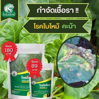 กำจัดเชื้อรา สาเหตุของโรคแผลจุดสีน้ำตาลไหม้ ในคะน้า ไตรโคเดอร์มา ไตรโคเร็กซ์ ปลอดภัยต่อคนและสัตว์เลี้ยง 100%