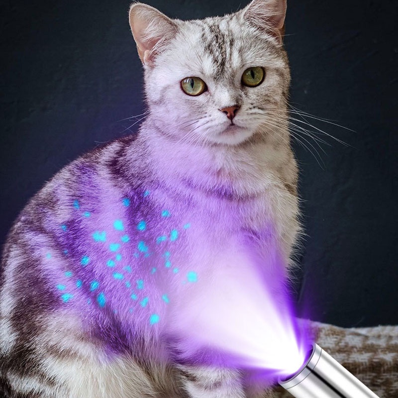 ภาพหน้าปกสินค้าไฟฉาย led ไฟฉายเชื้อราแมว ของเล่นแมว ไฟฉายเลเซอร์ Uv พร้อม Led อเนกประสงค์ ส่องเชื้อรา สามารถชาร์จได้ จากร้าน s9n_vdolqr บน Shopee