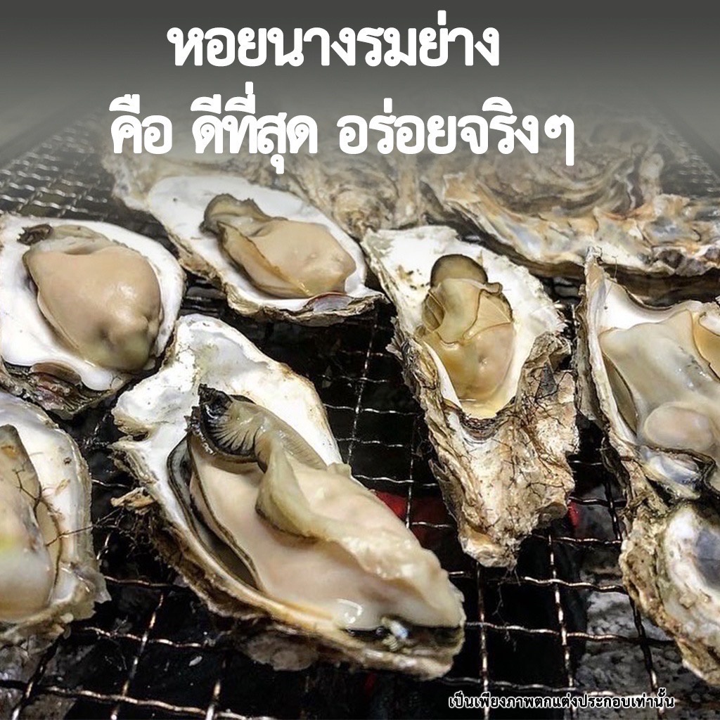 harima-oyster-1year-5pcs-หอยนางรม-อายุ1ปี-สินค้าแช่แข็ง