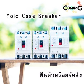 CT Electric เบรกเกอร์ โมเคสเมนเบรกเกอร์ 3เฟส No Fuse Breaker