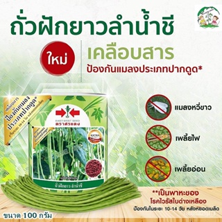 ผลิตภัณฑ์ใหม่ เมล็ดพันธุ์ เมล็ดพันธุ์คุณภาพสูงในสต็อกในประเทศไทย พร้อมส่งใหม่!! เมล็ดถั่วฝักยาว ลำน้ำชี เมล็ดเค /งอก MH6