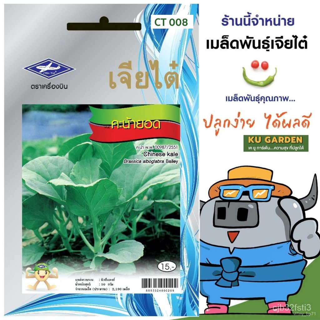 ผลิตภัณฑ์ใหม่-เมล็ดพันธุ์-จุดประเทศไทย-chiatai-ผักซอง-เจียไต๋-คะน้ายอด-o008-ประมาณ-2-190-เมล็ด-เมล็ดอวบอ้วนผัก-กะเพรา