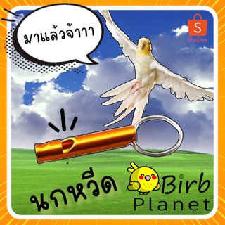 นกหวีดสำหรับฝึกนก นกหวีดฝึกสัตว์เลี้ยงความดังสูงสุด คละสี - Bird training whistle, random color