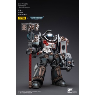 【Su baby】JOYTOY Warhammer 40K Grey Knights Brotherhood Terminator Caddon Vibova 1/18 Scale Figure