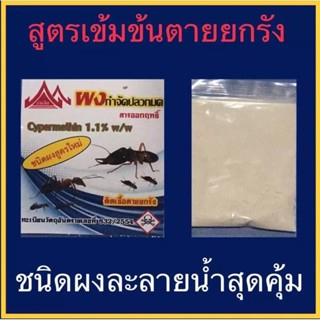 ใหม่ กำจัดปลวก กำจัดมด กลิ่นไม่ฉุน ผสมน้ำ สูตรใหม่ตายยกรัง ขนาด20กรัม