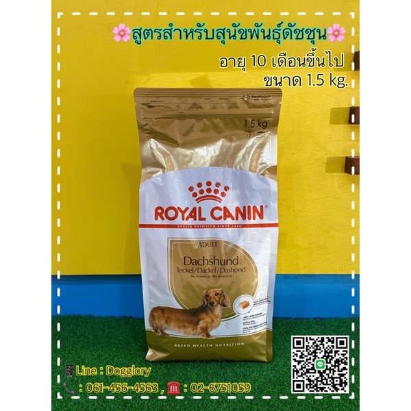 royal-canin-สุนัขพันธุ์-ดัชชุน-dachshund-1-5kg