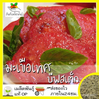 ผลิตภัณฑ์ใหม่ เมล็ดพันธุ์ เมล็ดพันธุ์คุณภาพสูงในสต็อกในประเทศไทย พร้อมส่ง ะให้ความสนใจของคุณเมล็ดอวบอ้วน มะเขือเ/มะระ RK