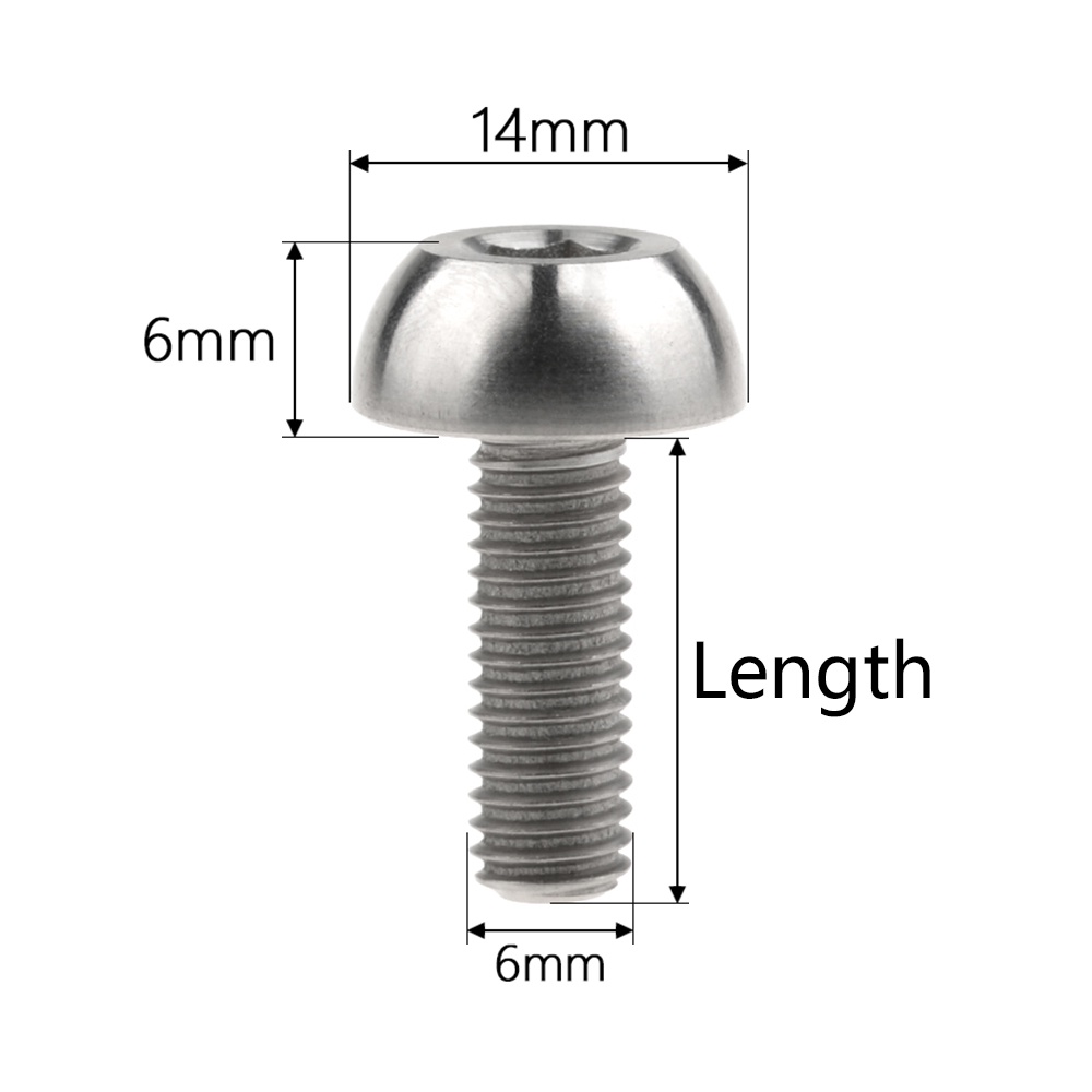 wanyifa-สกรูหัวกลม-ไทเทเนียม-m6x17-มม-สําหรับรถจักรยานยนต์-honda-90106-mfl-d20-cbr-vfr-vtr-fireblade-rvf