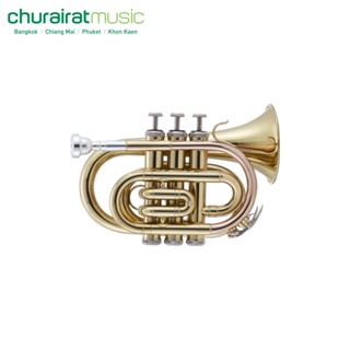 Trumpet Custom Mini Trumpet Lacquer Rose Brass ทรัมเป็ต by Churairat Music