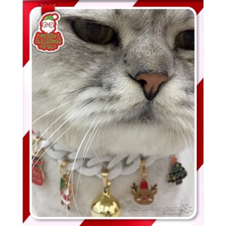 ปลอกคอ • สร้อยคอสุดน่ารักสำหรับน้องหมาและน้องแมว • Christmas Collection • Pet Collars • Large Size