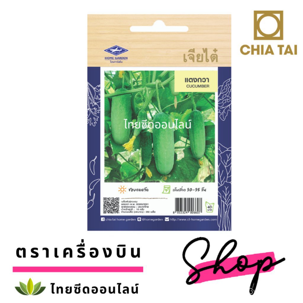 ผลิตภัณฑ์ใหม่-เมล็ดพันธุ์-เมล็ดพันธุ์คุณภาพสูงในสต็อกในประเทศไทย-พร้อมส่ง-ะให้ความสนใจของคุณเมล็ดอวบอ้วน-แตงกวา-ต้นอ่อน