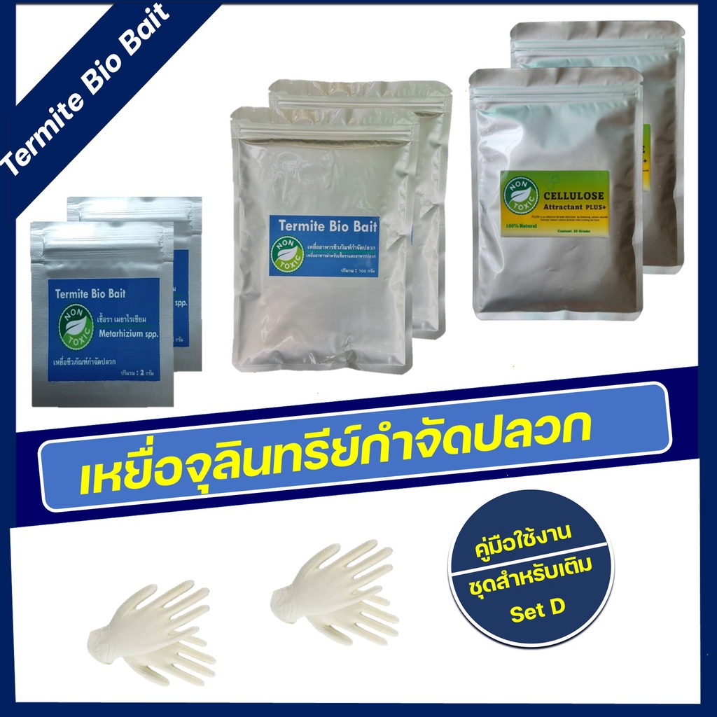 termite-bio-bait-ชุดเหยื่อเชื้อรากำจัดปลวก-กำจัดปลวกตายยกรัง