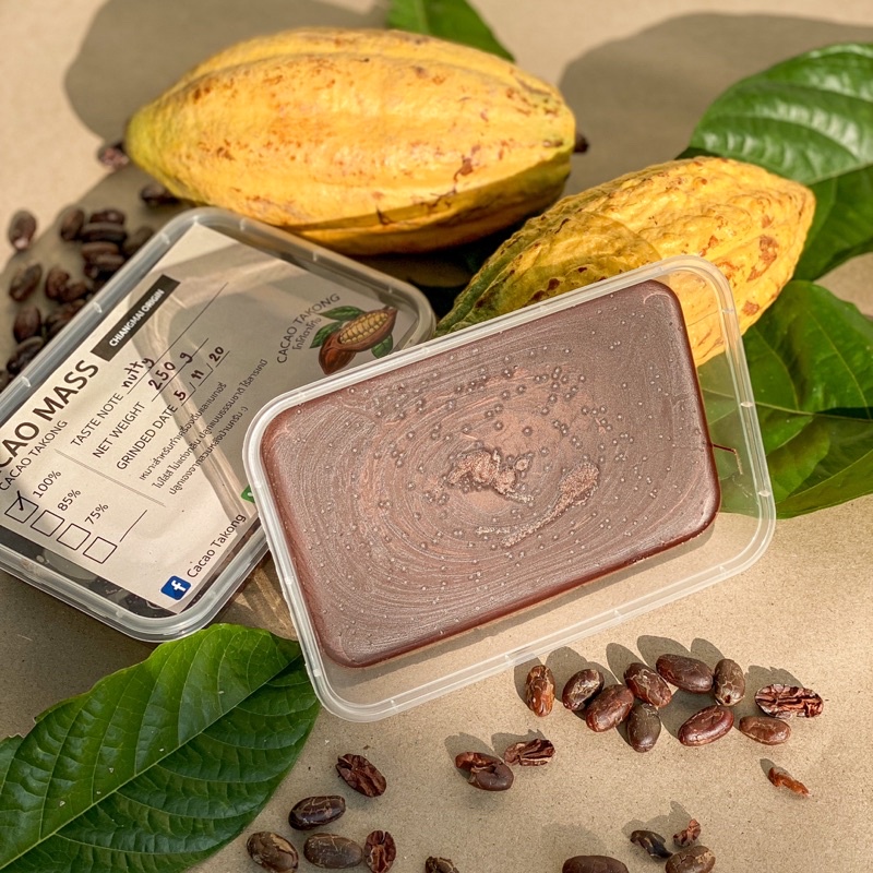 โกโก้แมสเชียงใหม่-cacao-mass-chiangmai-origin