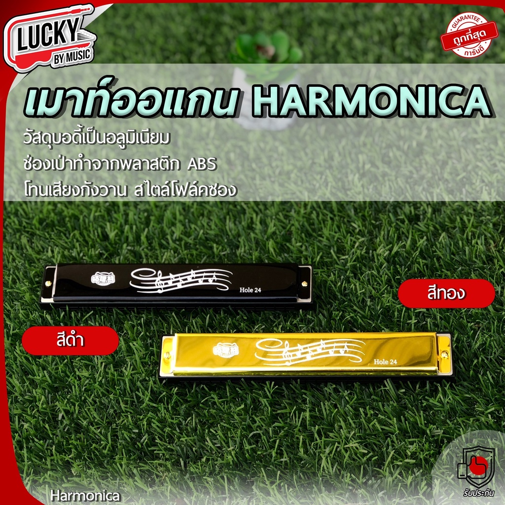 พร้อมส่ง-เม้าท์ออแกน-harmonica-จำนวน-10-ช่อง-24-ช่อง-ฮาร์โมนิกา-เมาท์ออแกน-คีย์-c-โทนเสียงกังวาล-สไตล์โฟล์คซอง