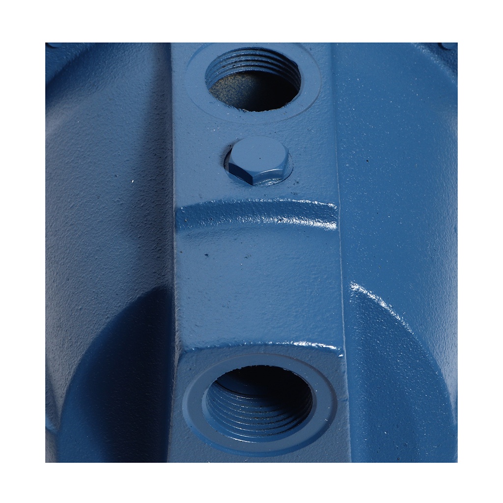 jsw-10m-centrifugal-pump-cuticles-้ำ-1hp-700tvl1