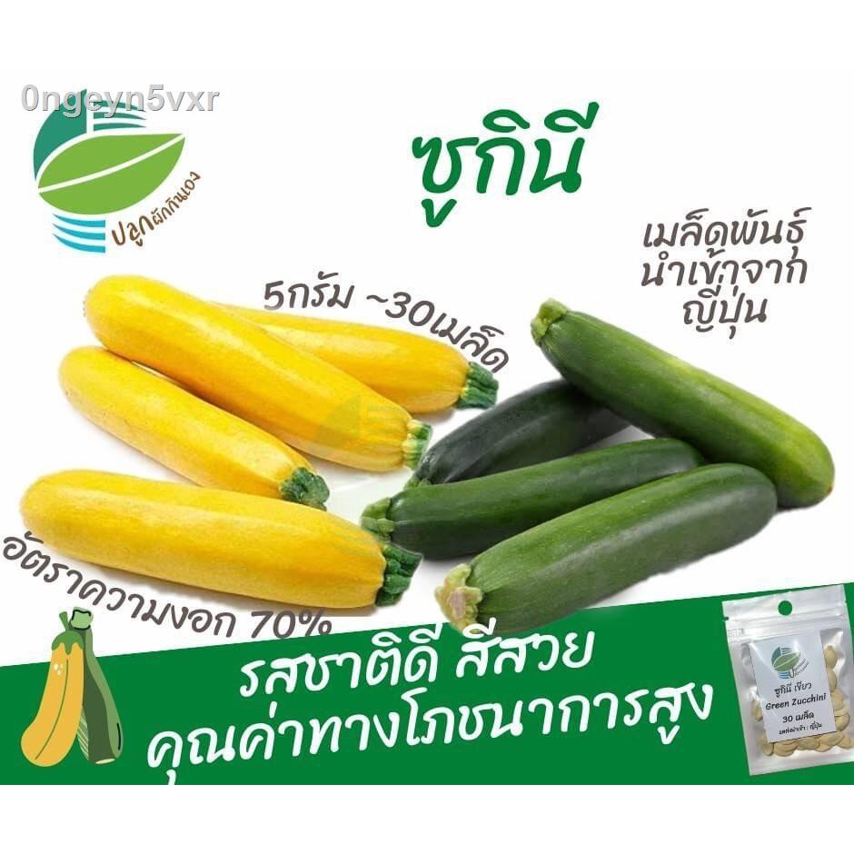 เมล็ดพันธุ์-ซูกินี-จำนวน-30-เมล็ด-รสชาติดี-สีสวย-คุณค่าทางโภชนาการสูง-นำเข้าจากญี่ปุ่น