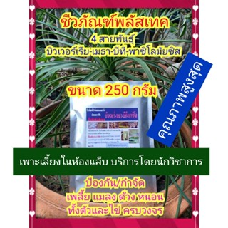 สินค้า ชีวภัณฑ์พลัสเทค ขนาด 250 กรัม (4 สายพันธุ์ บิวเวอร์เรีย เมธาไรเซียม บีที และพาซิโลมัยซิส) ปลอดสารพิษ