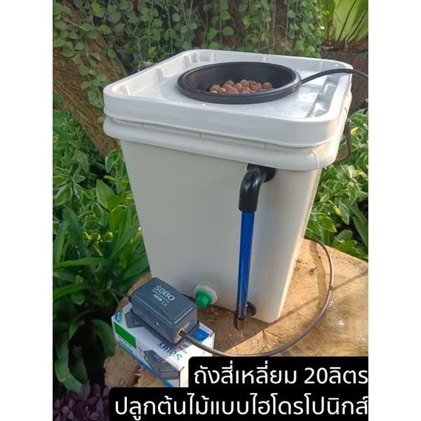 ถังสี่เหลี่ยมปลูกต้นไม้แบบไม่ใช้ดิน-ถังปลูกไฮโดรโปนิกส์-dwc-hydroponics-20l