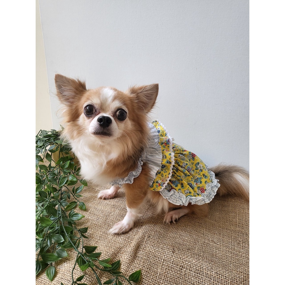 dogster-amp-pals-hampton-dress