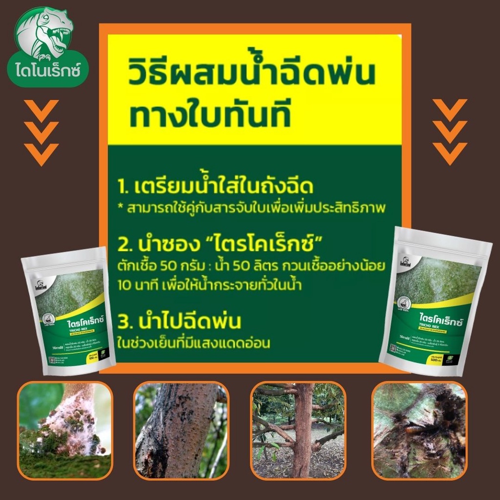 กำจัดโรคเชื้อราสีชมพู-ในทุเรียน-ไตรโคเดอร์มา-ไตรโคเร็กซ์-ปลอดภัยต่อคนและสัตว์เลี้ยง-100