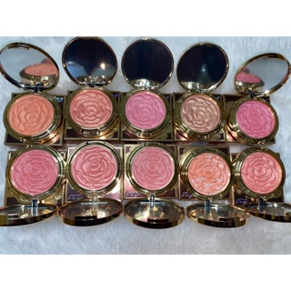 AAC Energizing Pink BB Grilled Blush Wear