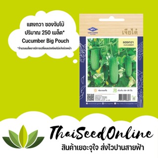 ผลิตภัณฑ์ใหม่ เมล็ดพันธุ์ สปอตสินค้า❤เมล็ดอวบอ้วน แตงกวา 250 เมล็ด ซองจัมโบ้ เพิ่มปริมาณมากกว่า 3 เท่า！ ตราเจีย /งอก IX3