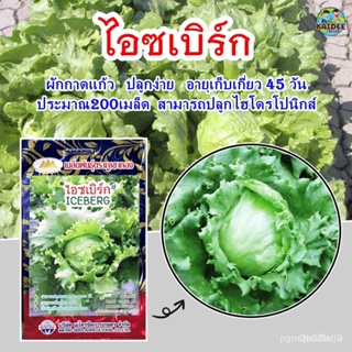 ผลิตภัณฑ์ใหม่ เมล็ดพันธุ์ เมล็ดพันธุ์คุณภาพสูงในสต็อกในประเทศไทย พร้อมส่ง ะให้ความสนใจของคุณเมล็ดผักกาดแก้ว ไอซเ/ง่าย W8
