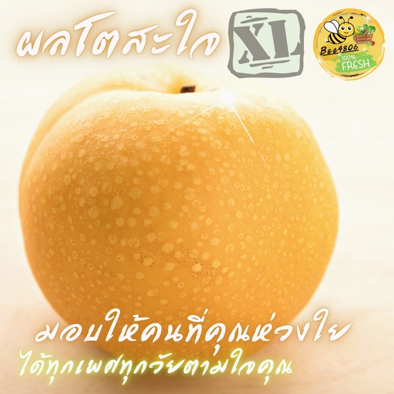 สาลี่หิมะจักรพรรดิ-imperial-snow-trolley-นำเข้า-ใช้วิธีการทําฟาร์มแบบยั่งยืนและปลอดสาร-เฉพาะจัมโบ้size-xlที่นี่ทีเดียว